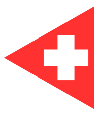 Swiss Logistics Systems logo